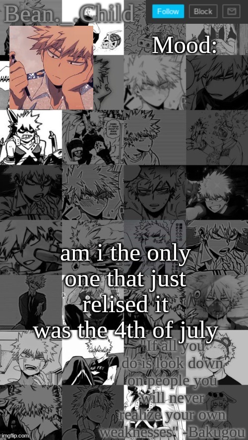 am i the only one that just relised it was the 4th of july | image tagged in beanchild bakugou temp | made w/ Imgflip meme maker