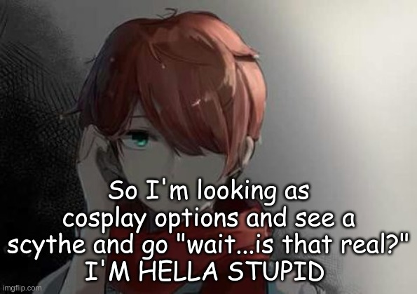 my braincells are focused on fireworks rn istg | So I'm looking as cosplay options and see a scythe and go "wait...is that real?"
I'M HELLA STUPID | made w/ Imgflip meme maker