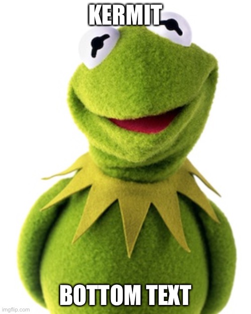 KERMIT; BOTTOM TEXT | image tagged in kermit the frog | made w/ Imgflip meme maker