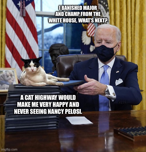 First Cat | I BANISHED MAJOR AND CHAMP FROM THE WHITE HOUSE, WHAT’S NEXT? A CAT HIGHWAY WOULD MAKE ME VERY HAPPY AND NEVER SEEING NANCY PELOSI. | image tagged in first cat | made w/ Imgflip meme maker