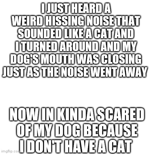 My dog is scary | I JUST HEARD A WEIRD HISSING NOISE THAT SOUNDED LIKE A CAT AND I TURNED AROUND AND MY DOG'S MOUTH WAS CLOSING JUST AS THE NOISE WENT AWAY; NOW IN KINDA SCARED OF MY DOG BECAUSE I DON'T HAVE A CAT | image tagged in memes,blank transparent square | made w/ Imgflip meme maker