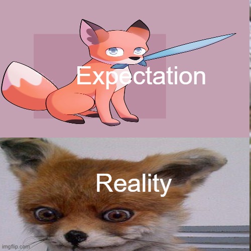 AngieFox Be Like | Expectation; Reality | image tagged in fox | made w/ Imgflip meme maker