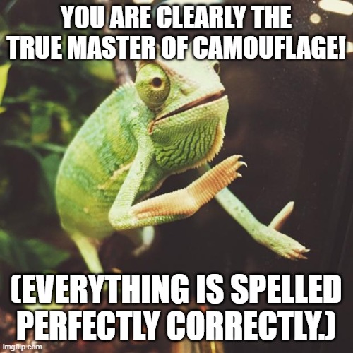 Slow Clap Chameleon  | YOU ARE CLEARLY THE TRUE MASTER OF CAMOUFLAGE! (EVERYTHING IS SPELLED PERFECTLY CORRECTLY.) | image tagged in slow clap chameleon | made w/ Imgflip meme maker