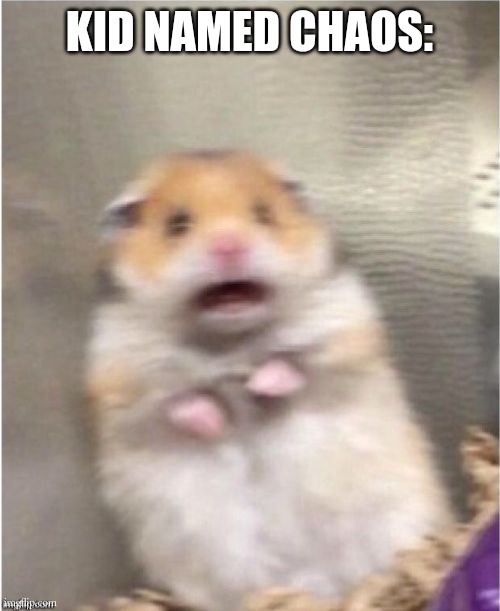 Scared Hamster | KID NAMED CHAOS: | image tagged in scared hamster | made w/ Imgflip meme maker