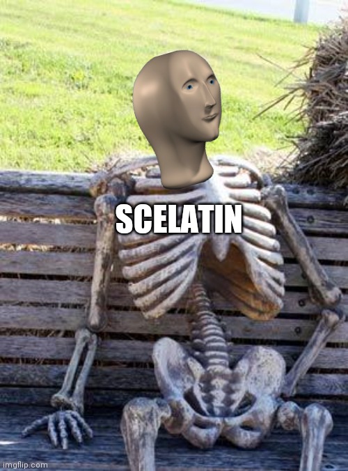 Waiting Skeleton Meme | SCELATIN | image tagged in memes,waiting skeleton | made w/ Imgflip meme maker