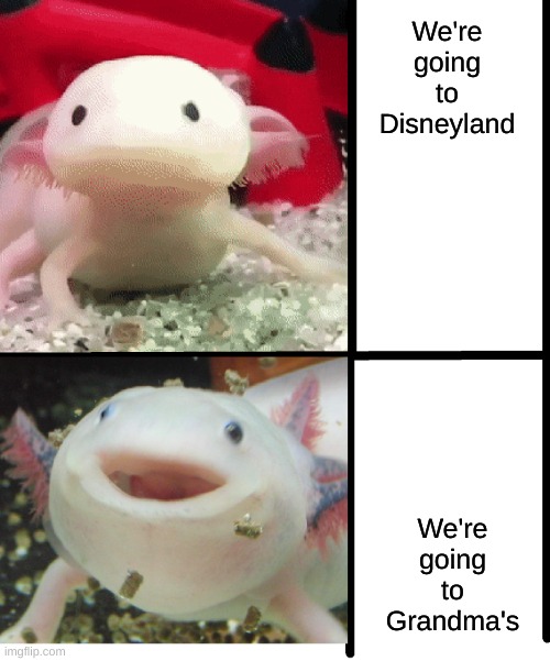 BUT I WANTED TO GO TO GRANDMA'S :-'( | We're going to Disneyland; We're going to Grandma's | image tagged in annoyed axolotl | made w/ Imgflip meme maker