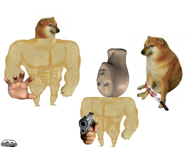 New users be like: | image tagged in memes,buff doge vs cheems | made w/ Imgflip meme maker