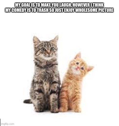 Wholesome Cats | MY GOAL IS TO MAKE YOU LAUGH, HOWEVER I THINK MY COMEDY IS TO TRASH SO JUST ENJOY WHOLESOME PICTURE | image tagged in wholesome cats | made w/ Imgflip meme maker