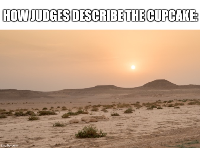 cupcakes | HOW JUDGES DESCRIBE THE CUPCAKE: | image tagged in cupcake,judge | made w/ Imgflip meme maker