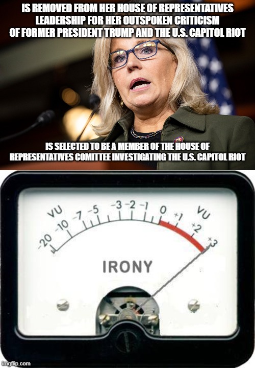 IS REMOVED FROM HER HOUSE OF REPRESENTATIVES LEADERSHIP FOR HER OUTSPOKEN CRITICISM OF FORMER PRESIDENT TRUMP AND THE U.S. CAPITOL RIOT; IS SELECTED TO BE A MEMBER OF THE HOUSE OF REPRESENTATIVES COMITTEE INVESTIGATING THE U.S. CAPITOL RIOT | image tagged in irony meter | made w/ Imgflip meme maker
