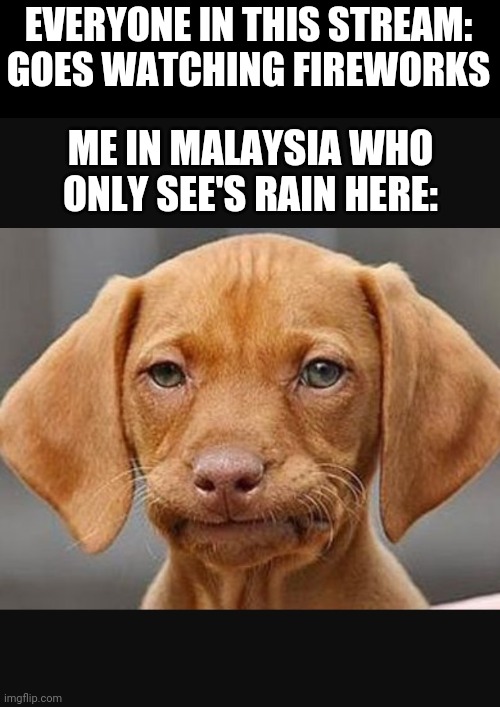 Straight face dog | EVERYONE IN THIS STREAM: GOES WATCHING FIREWORKS; ME IN MALAYSIA WHO ONLY SEE'S RAIN HERE: | image tagged in straight face dog | made w/ Imgflip meme maker