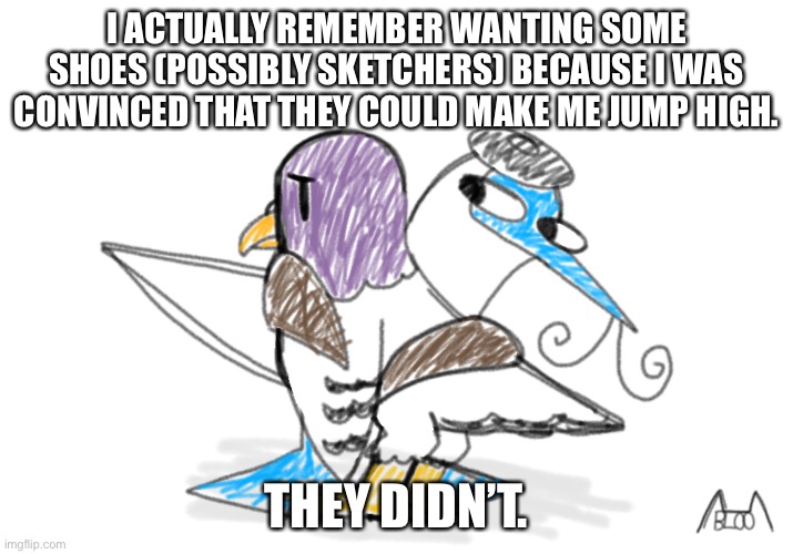 BlueFoot hugs a pigeon | I ACTUALLY REMEMBER WANTING SOME SHOES (POSSIBLY SKETCHERS) BECAUSE I WAS CONVINCED THAT THEY COULD MAKE ME JUMP HIGH. THEY DIDN’T. | image tagged in bluefoot hugs a pigeon | made w/ Imgflip meme maker