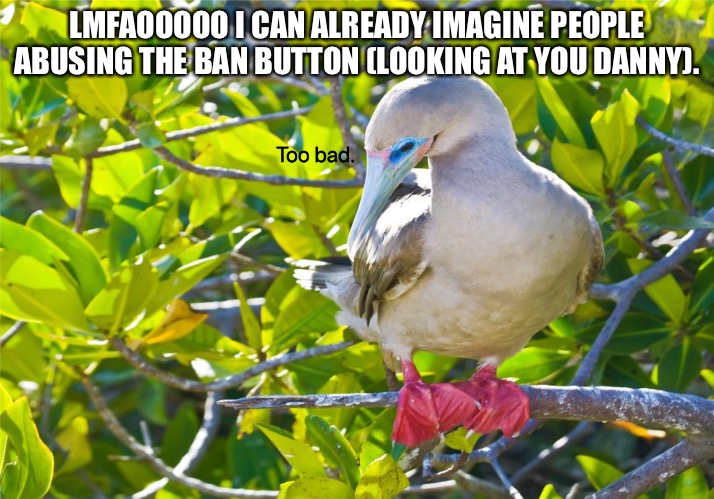 LMFAOO- | LMFAOOOOO I CAN ALREADY IMAGINE PEOPLE ABUSING THE BAN BUTTON (LOOKING AT YOU DANNY). | image tagged in too bad booby | made w/ Imgflip meme maker