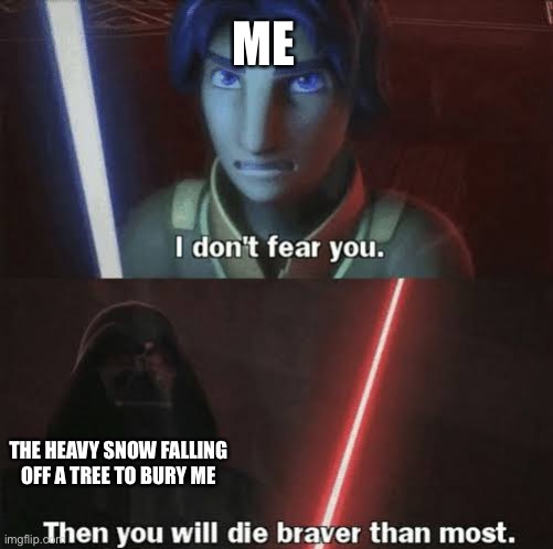 Snow falling off tree to bury me meme | ME; THE HEAVY SNOW FALLING OFF A TREE TO BURY ME | image tagged in then you will die braver than most | made w/ Imgflip meme maker