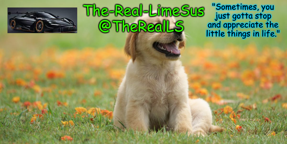 High Quality LimeSus Doggo Announcement Temp V1 (4) Blank Meme Template