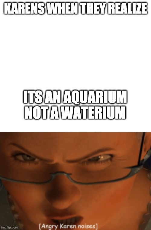 bro this is america not spanisha | KARENS WHEN THEY REALIZE; ITS AN AQUARIUM NOT A WATERIUM | image tagged in white,angry karen noises | made w/ Imgflip meme maker
