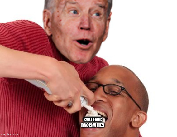 JOE IS A RACIST | SYSTEMIC RACISM LIES | image tagged in joe biden | made w/ Imgflip meme maker