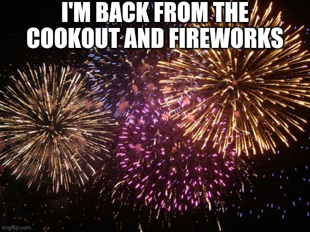 :D | I'M BACK FROM THE COOKOUT AND FIREWORKS | image tagged in fireworks | made w/ Imgflip meme maker