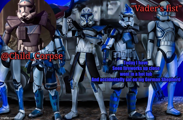 Useless fact | Today I have 
Seen fireworks up close
went in a hot tub
And accidentally sat on my German Shepherd | image tagged in child_corpse's 501st template | made w/ Imgflip meme maker