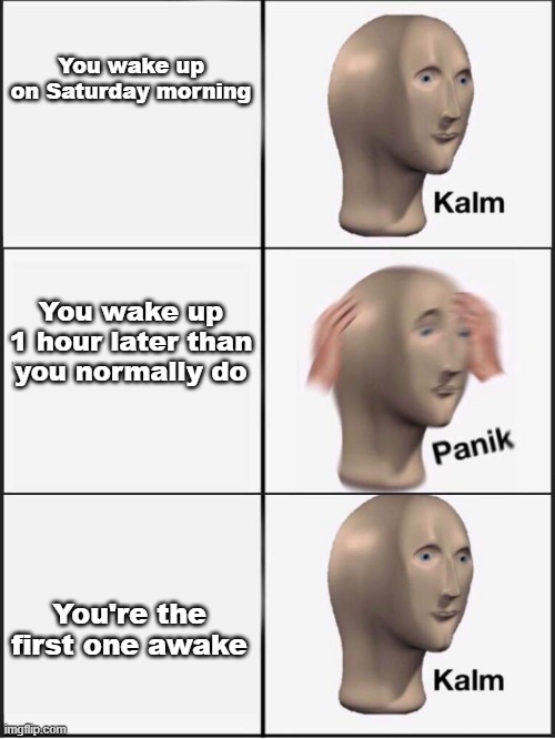 Saturday morning be like | You wake up on Saturday morning; You wake up 1 hour later than you normally do; You're the first one awake | image tagged in kalm panik calm,so true memes | made w/ Imgflip meme maker