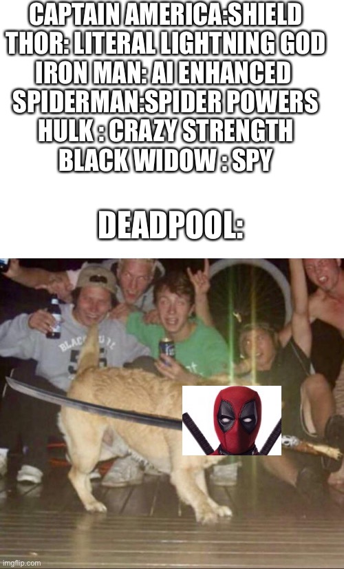 CAPTAIN AMERICA:SHIELD
THOR: LITERAL LIGHTNING GOD
IRON MAN: AI ENHANCED 
SPIDERMAN:SPIDER POWERS
HULK : CRAZY STRENGTH
BLACK WIDOW : SPY; DEADPOOL: | image tagged in blank white template,katana dog | made w/ Imgflip meme maker