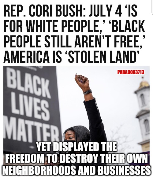 Seriously, I'm not sure who is failing you more, the Democrat Plantation, or your own movement. | PARADOX3713; YET DISPLAYED THE FREEDOM TO DESTROY THEIR OWN NEIGHBORHOODS AND BUSINESSES | image tagged in memes,politics,progressives,black lives matter,brainwashed,fail army | made w/ Imgflip meme maker