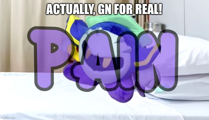 Meta Knight pain | ACTUALLY, GN FOR REAL! | image tagged in meta knight pain | made w/ Imgflip meme maker