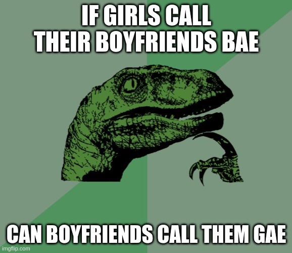 HMmm | IF GIRLS CALL THEIR BOYFRIENDS BAE; CAN BOYFRIENDS CALL THEM GAE | image tagged in dino think dinossauro pensador | made w/ Imgflip meme maker