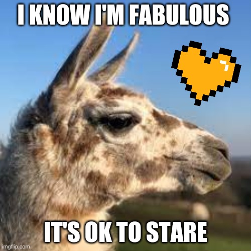 Giraffe? or Llama? | I KNOW I'M FABULOUS; IT'S OK TO STARE | image tagged in giraffe,llama,i'm fabulous,stare,yes | made w/ Imgflip meme maker