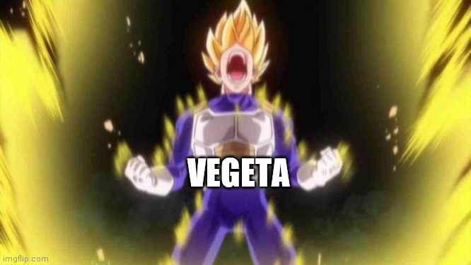 vegeta | VEGETA | image tagged in vegeta | made w/ Imgflip meme maker