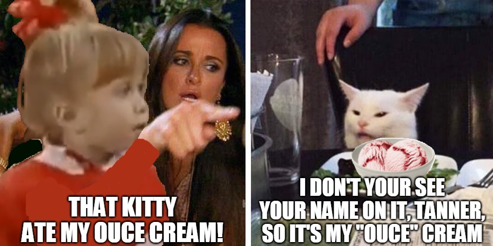 Smudge the cat | I DON'T YOUR SEE YOUR NAME ON IT, TANNER, SO IT'S MY "OUCE" CREAM; THAT KITTY ATE MY OUCE CREAM! | image tagged in smudge the cat,memes,michelle tanner,full house,ice cream | made w/ Imgflip meme maker
