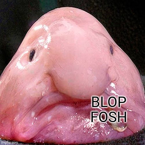BLOP
FOSH | made w/ Imgflip meme maker