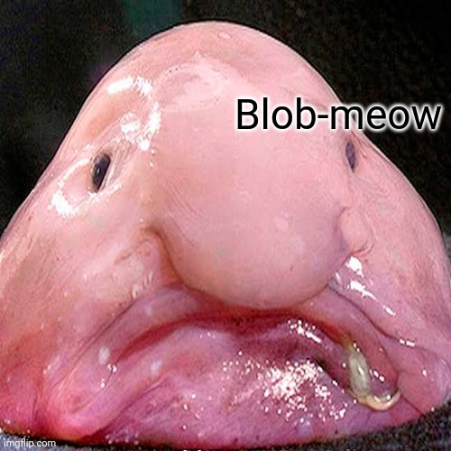 Blob-meow | made w/ Imgflip meme maker