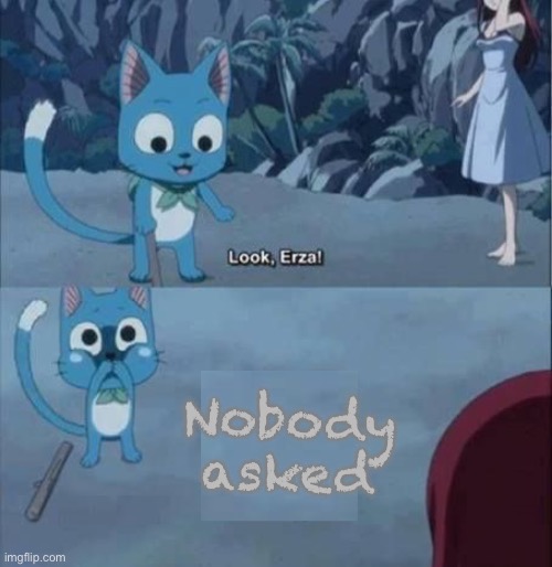Shoutout to u/CriCristinaO | image tagged in erza scarlet,fairy tail | made w/ Imgflip meme maker