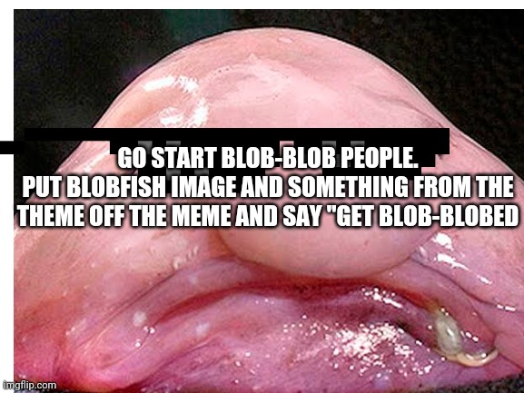 LES GOOO START BLOBIN PEEPS LIKE NO TOMORROW | GO START BLOB-BLOB PEOPLE.
PUT BLOBFISH IMAGE AND SOMETHING FROM THE THEME OFF THE MEME AND SAY "GET BLOB-BLOBED | image tagged in blobfish | made w/ Imgflip meme maker