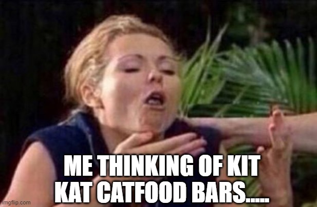 About to Puke | ME THINKING OF KIT KAT CATFOOD BARS..... | image tagged in about to puke | made w/ Imgflip meme maker