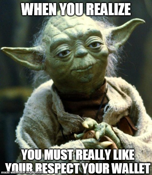 Star Wars Yoda Meme | WHEN YOU REALIZE; YOU MUST REALLY LIKE YOUR RESPECT YOUR WALLET | image tagged in memes,star wars yoda | made w/ Imgflip meme maker