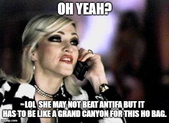 Madonna | OH YEAH? LOL  SHE MAY NOT BEAT ANTIFA BUT IT HAS TO BE LIKE A GRAND CANYON FOR THIS HO BAG. | image tagged in madonna | made w/ Imgflip meme maker