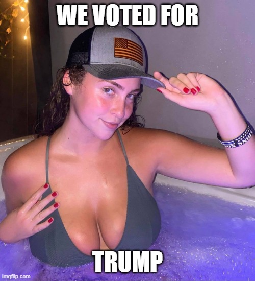 Voted for Trump | WE VOTED FOR; TRUMP | image tagged in donald trump,joe biden | made w/ Imgflip meme maker