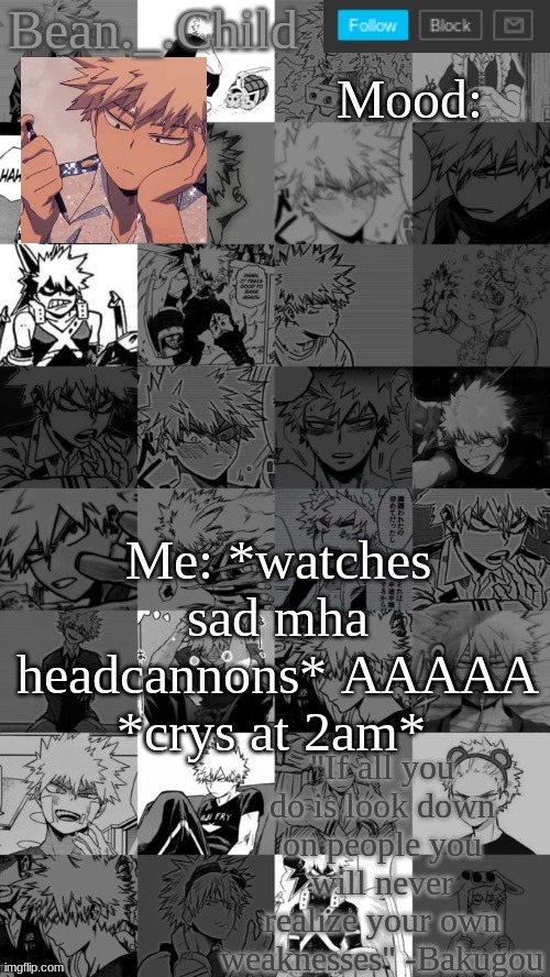 Me: *watches sad mha headcannons* AAAAA *crys at 2am* | image tagged in beanchild bakugou temp | made w/ Imgflip meme maker