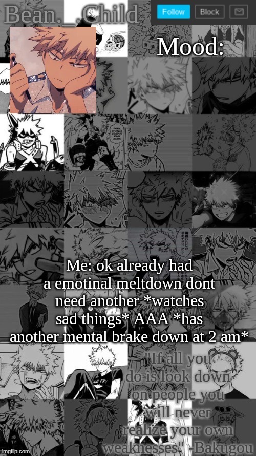 Me: ok already had a emotinal meltdown dont need another *watches sad things* AAA *has another mental brake down at 2 am* | image tagged in beanchild bakugou temp | made w/ Imgflip meme maker