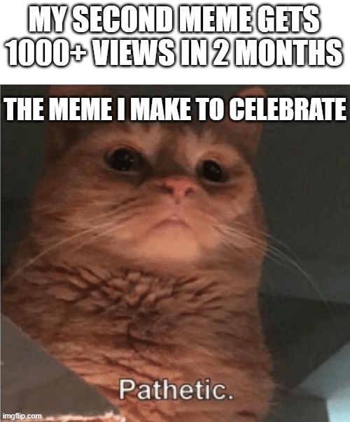 MY SECOND MEME GETS 1000+ VIEWS IN 2 MONTHS THE MEME I MAKE TO CELEBRATE | image tagged in pathetic cat | made w/ Imgflip meme maker
