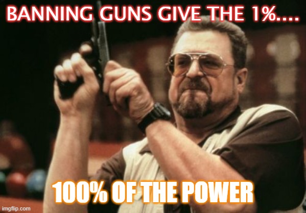Banning Guns Give The 1%.... 100% Of The Power | BANNING GUNS GIVE THE 1%.... 100% OF THE POWER | image tagged in memes,am i the only one around here | made w/ Imgflip meme maker