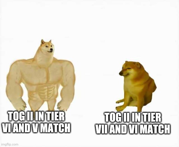 Strong dog vs weak dog | TOG II IN TIER VI AND V MATCH; TOG II IN TIER VII AND VI MATCH | image tagged in strong dog vs weak dog,WorldOfTanksBlitz | made w/ Imgflip meme maker