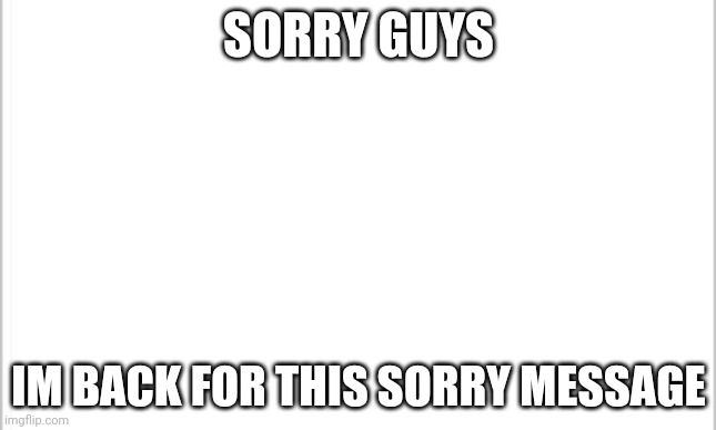 white background | SORRY GUYS; IM BACK FOR THIS SORRY MESSAGE | image tagged in white background | made w/ Imgflip meme maker