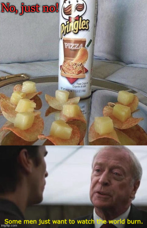 Some people are just sick in the head. | No, just no! | image tagged in some men just want to watch the world burn,wrong,pringles,pineapple pizza | made w/ Imgflip meme maker