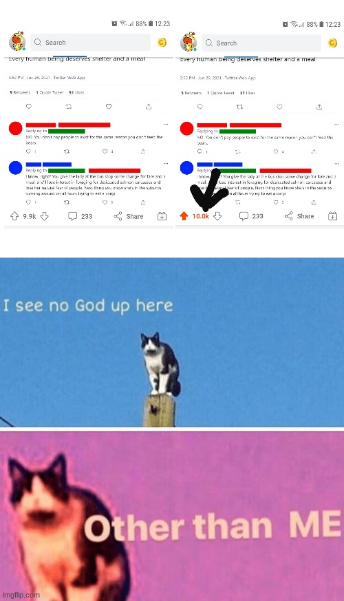 this is truly perfection | image tagged in hail pole cat,memes,reddit,10k,perfection,oh wow are you actually reading these tags | made w/ Imgflip meme maker