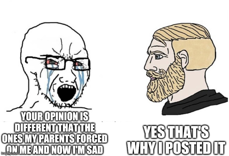 Keep crying | YES THAT'S WHY I POSTED IT; YOUR OPINION IS DIFFERENT THAT THE ONES MY PARENTS FORCED ON ME AND NOW I'M SAD | image tagged in soyboy vs yes chad | made w/ Imgflip meme maker