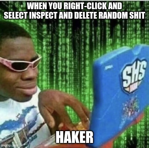 Website killer | WHEN YOU RIGHT-CLICK AND SELECT INSPECT AND DELETE RANDOM SHIT; HAKER | image tagged in ryan beckford,hackers | made w/ Imgflip meme maker