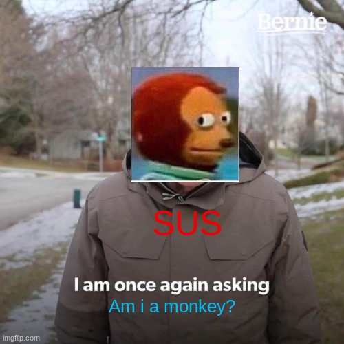 Bernie I Am Once Again Asking For Your Support Meme | SUS; Am i a monkey? | image tagged in memes,bernie i am once again asking for your support | made w/ Imgflip meme maker